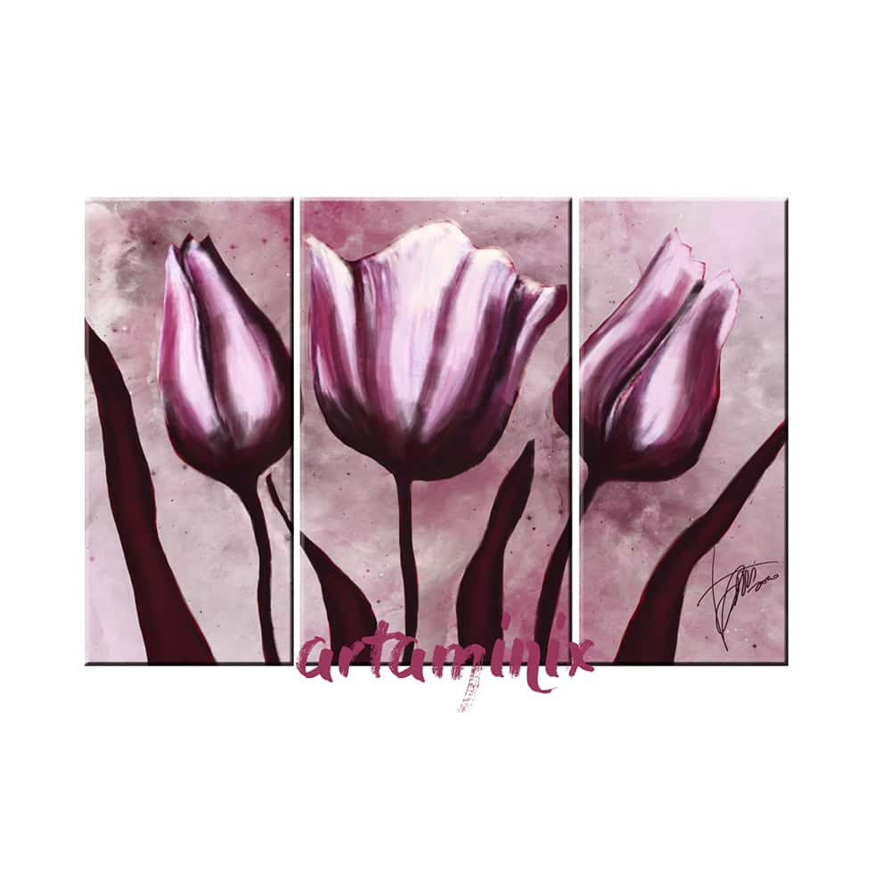 tulipani viola rosa e bianco