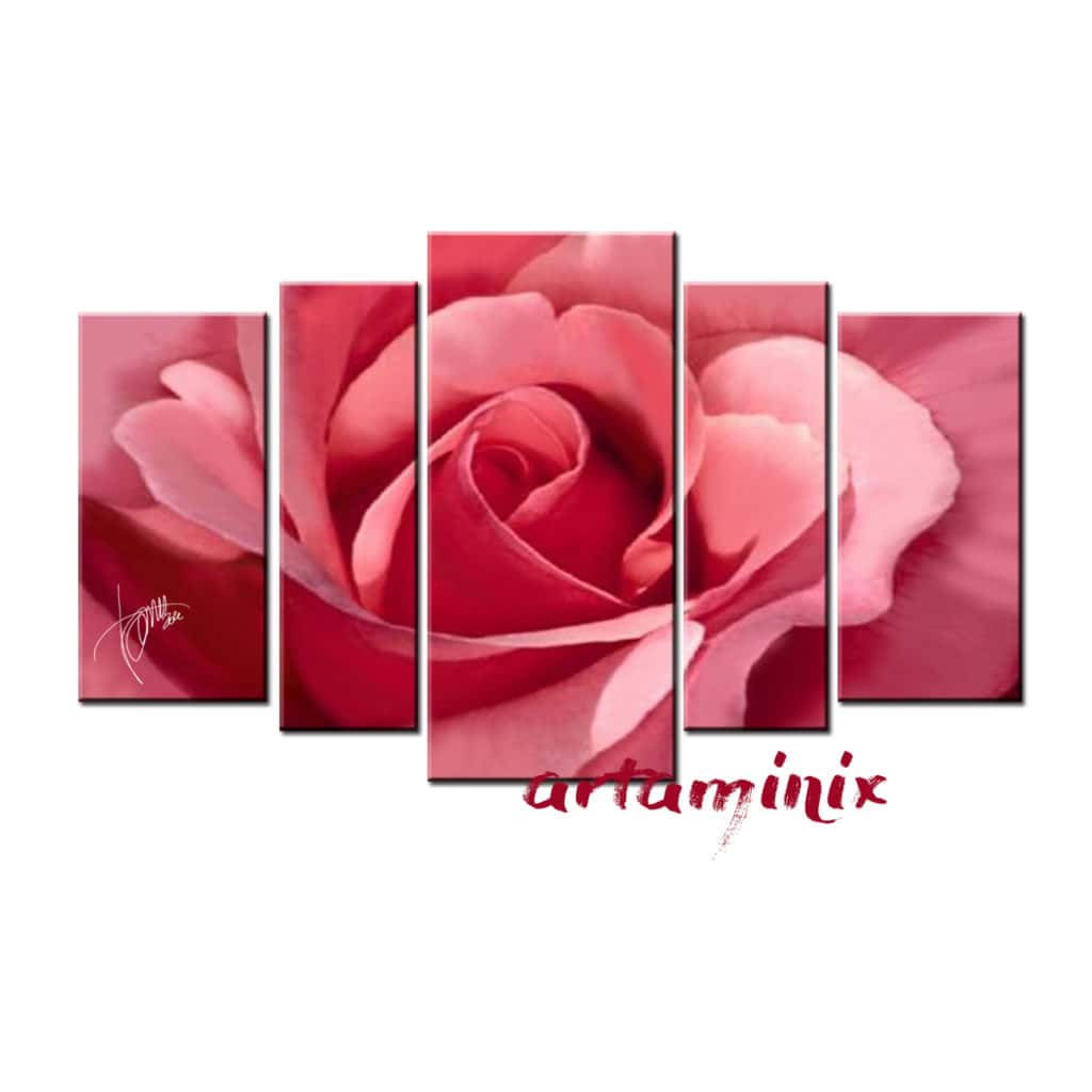 quadro moderno petali di rosa
